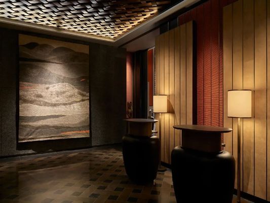 Custom Trendy Hotel Furniture Hotel Lounge Furniture Genuine Leather Hotel Lobby Sofa E2