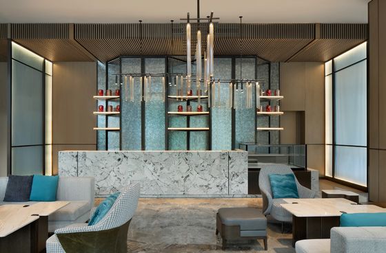 CAD Drawing Commercial Club Furniture  Patterned Club Chair ODM OEM