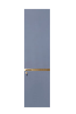 OEM/ODM CUSTOM MINIMALIST LUXURY INTERIOR DOORS | TALL FLUSH & SLIDING DESIGNS FRAMELESS SLIDING & SWING STYLES BRASS ACCENTS & GLASS PANEL OPTIONS