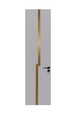 OEM/ODM CUSTOM MODERN WALNUT INTERIOR DOORS | TALL FLUSH & BRASS ACCENT DESIGNS WOOD GRAIN & GEOMETRIC INLAY OPTIONS WALNUT VENEER & MATTE FINISH STYLES SOLID CORE FLUSH PANEL WITH GOLD HARDWARE