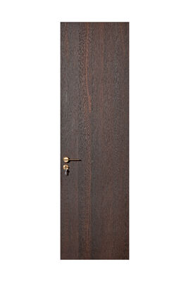 OEM/ODM CUSTOM MODERN WALNUT INTERIOR DOORS | TALL FLUSH & BRASS ACCENT DESIGNS WOOD GRAIN & GEOMETRIC INLAY OPTIONS WALNUT VENEER & MATTE FINISH STYLES SOLID CORE FLUSH PANEL WITH GOLD HARDWARE