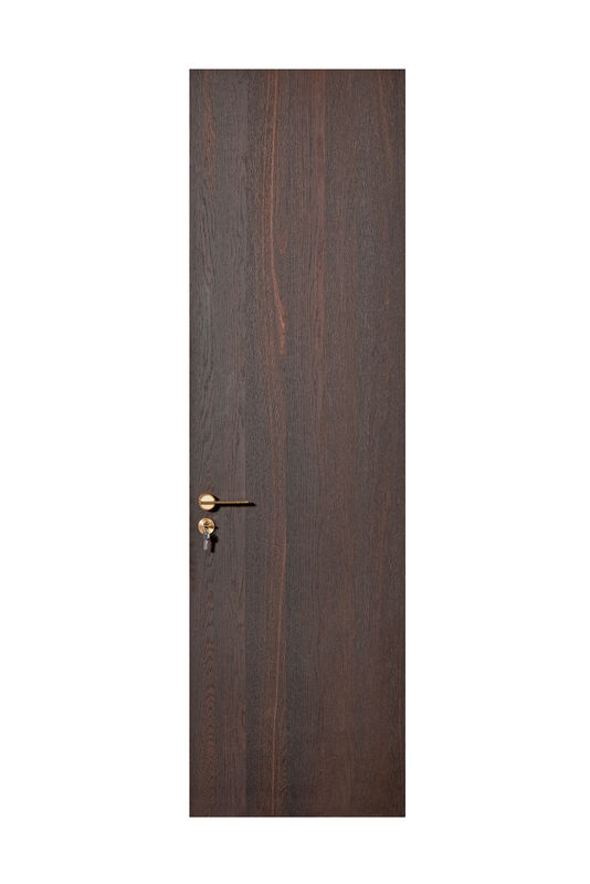 OEM/ODM CUSTOM MODERN WALNUT INTERIOR DOORS | TALL FLUSH & BRASS ACCENT DESIGNS WOOD GRAIN & GEOMETRIC INLAY OPTIONS WALNUT VENEER & MATTE FINISH STYLES SOLID CORE FLUSH PANEL WITH GOLD HARDWARE