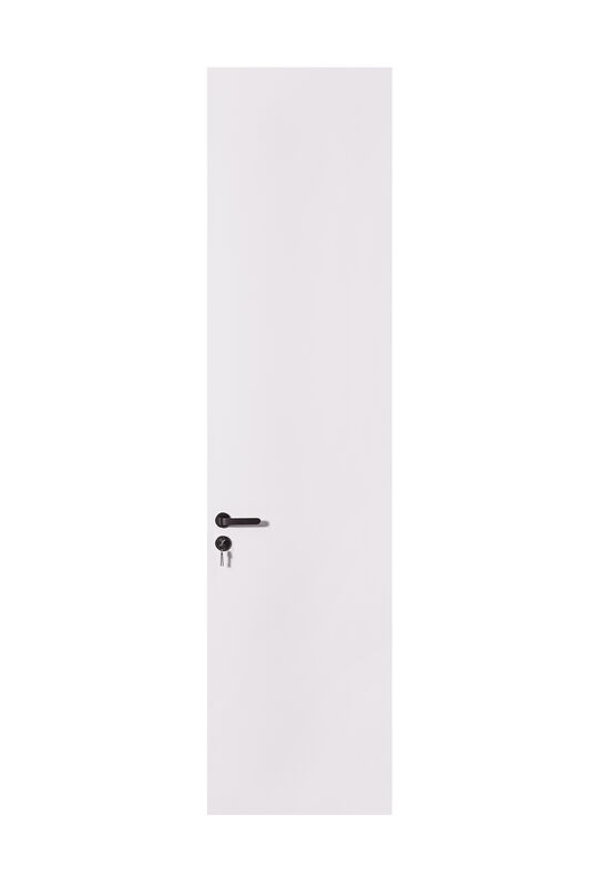 OEM/ODM CUSTOM QUIET LUXURY INTERIOR DOORS | MATTE, TALL CEILING HEIGHT DESIGNS COMPLETE COLLECTION MINIMALIST BLACK BAR HANDLE VERTICAL CHAMPAGNE ACCENT STRIP, WOOD & BRASS ACCENT OPTIONS