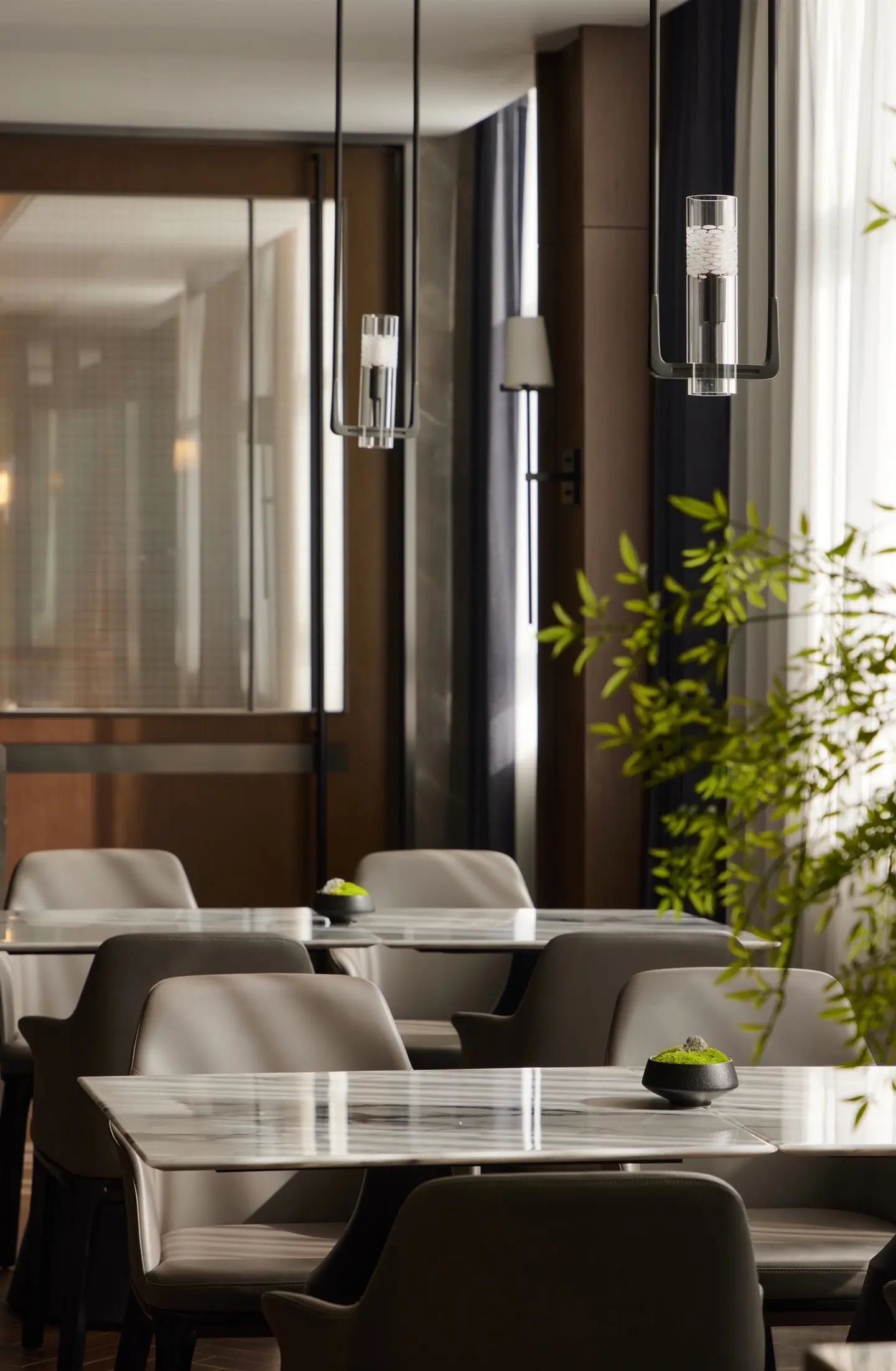 Modern Style Upholstered Chair Restaurant Furniture Dining Table Set 4 6 Chairs