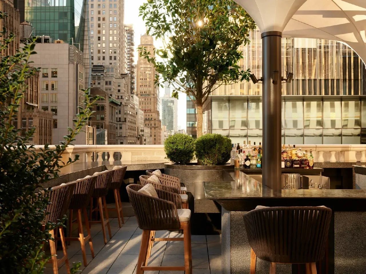 MDF HDF Dining Room Furniture Acrylic Cherry Dining Chairs OEM