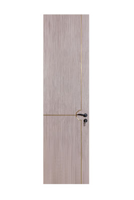 OEM/ODM MASSGESCHNEIDERTE RUHIGE LUXUS-INNENTÜREN | MATT, HOHE DECKENHÖHE DESIGNS KOMPLETTE KOLLEKTION MINIMALISTISCHER STANGENGRIFF IN SCHWARZEM VERTIKALEM CHAMPAGNER-AKZENTSTREIFEN, AKZENT-OPTIONEN AUS HOLZ UND MESSING